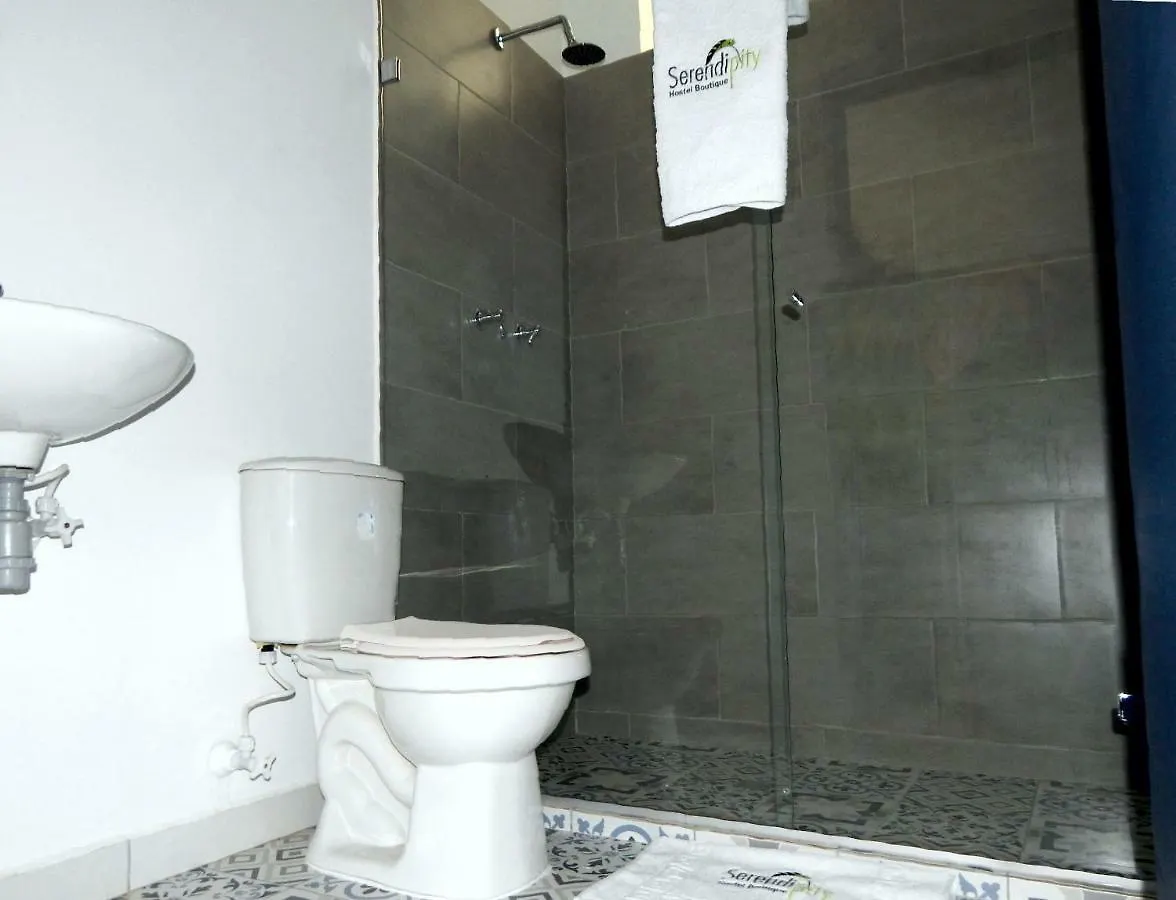 Serendipity Hostel Boutique Medellín
