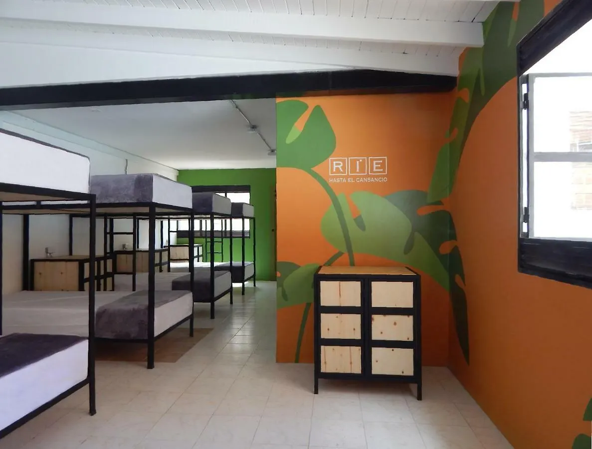 Serendipity Hostel Boutique Medellín Colombia