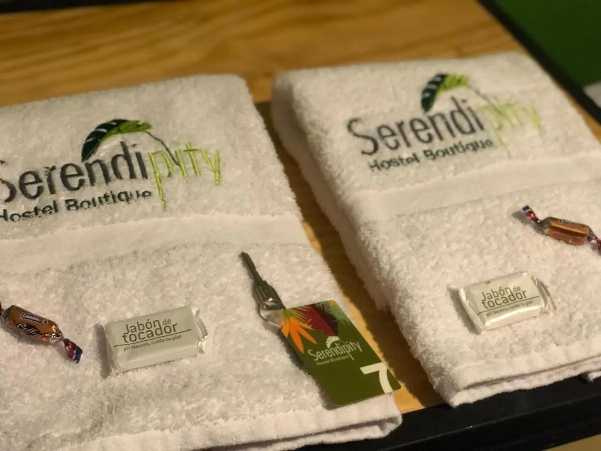 Serendipity Hostel Boutique Medellín